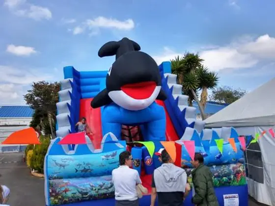 Deslizador Whale