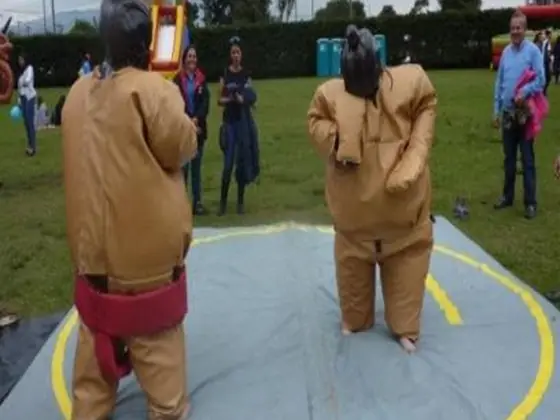Juego de sumos